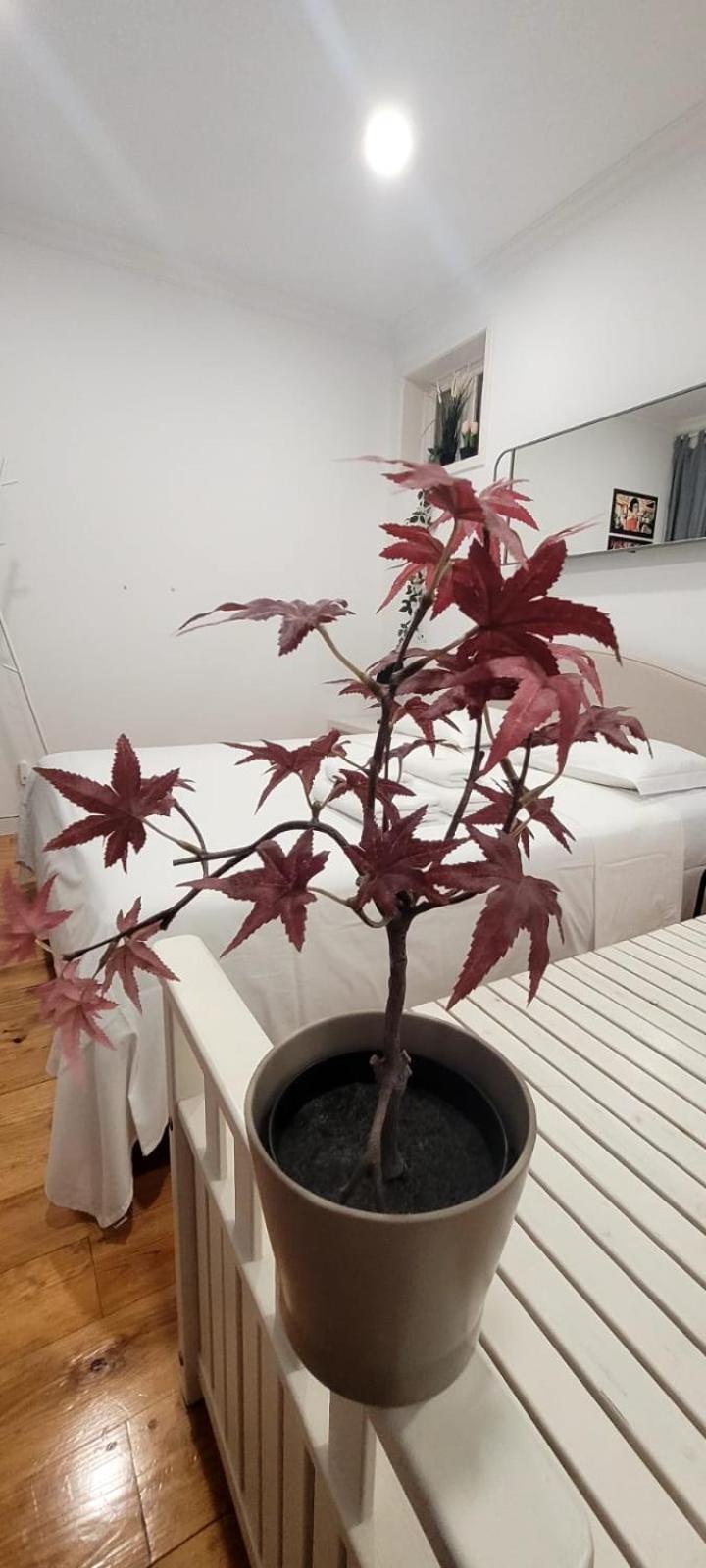 Varanda Privada Iroom Lisbon Luaran gambar